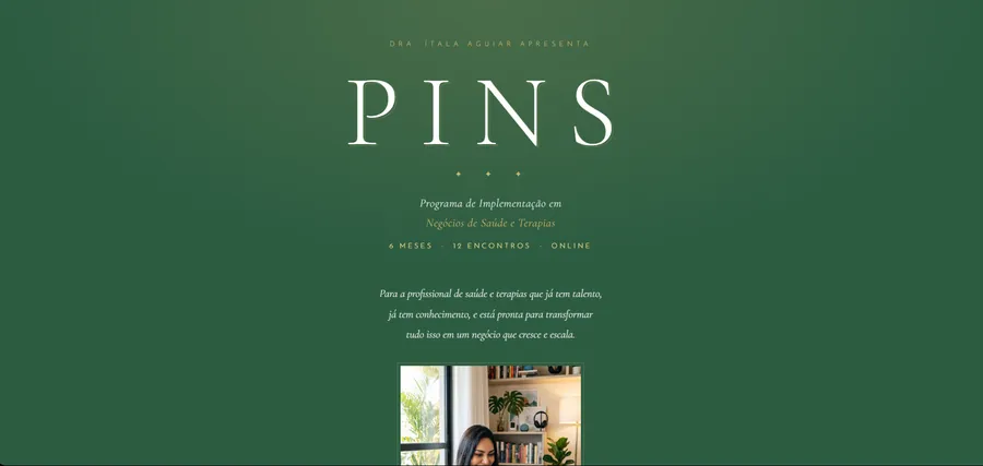 Página de lançamento · PINS